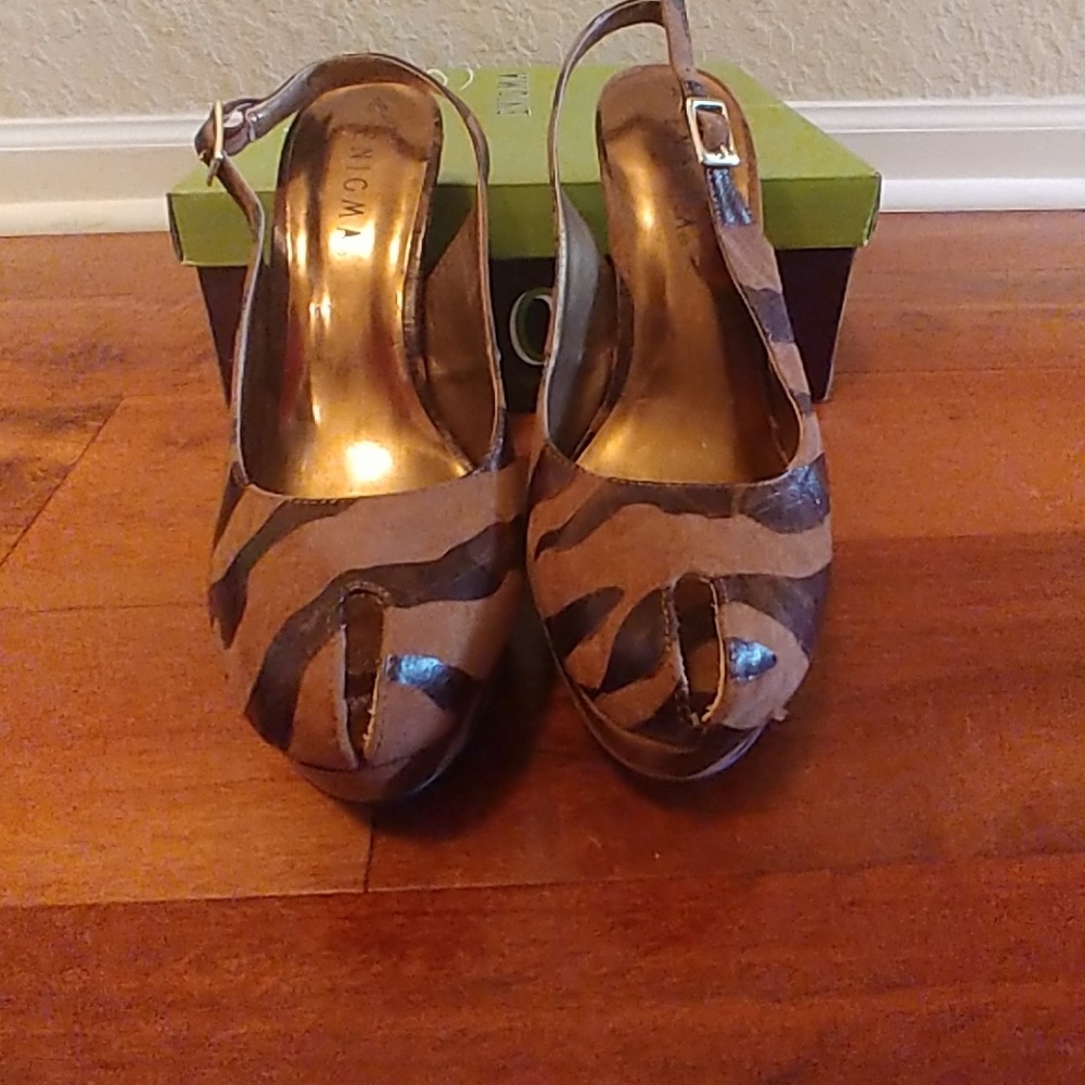 Enigma Pumps